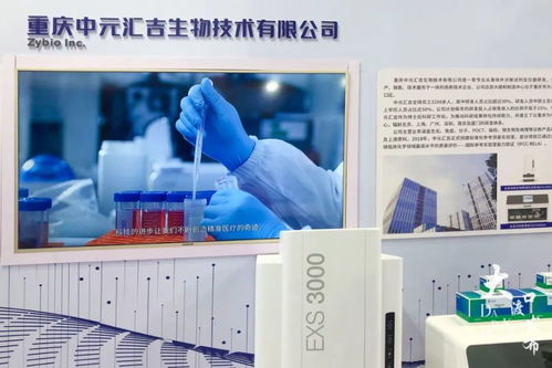 打探2021智博會,大渡口14家企業攜高科技產品亮相