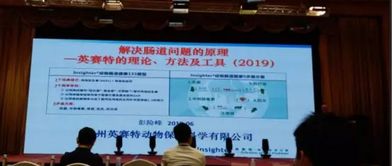 泰山 論壇 第十五屆 2019 動物營養與飼料科學技術交流峰會圓滿落幕